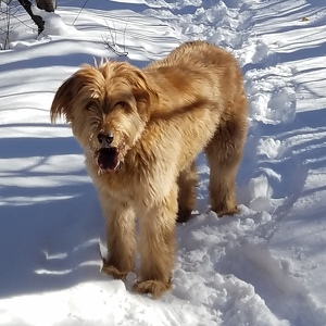 Fundraising Page: Grant Thacker